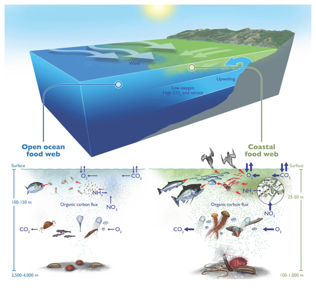 MBARI | Interdisciplinary field experiments