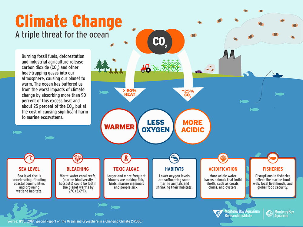 Climate change and the ocean • MBARI