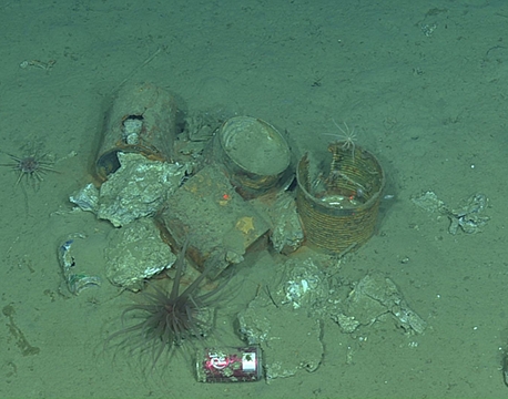 Seafloor Ecology Spring 2020 - Log 4 • MBARI