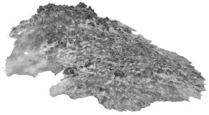 A grayscale rendering shows the data collected by an autonomous robot during a survey of the seafloor. The rendering shows a 45-degree incline perspective of a rocky reef with details of the terrain, including bumps and divots in the rock and clumps of round coral.