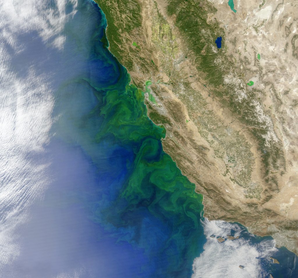 A true color image of phytoplankton in the California current. Areas with more phytoplankton have greener water.
