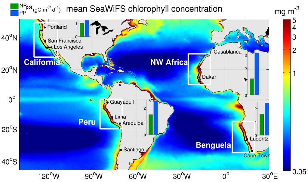 Biological Response To Upwelling In Eastern Boundary Upwelling Systems ...