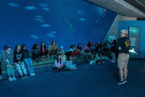 An MBARI researcher wearing a black t-shirt, tan shorts, and black-and-white sneakers speaks to a group of 21 students in front of an aquarium exhibit. The foreground is blue carpet and the background is a slanted window into an aquarium exhibit featuring silver tuna and a beige hammerhead shark.