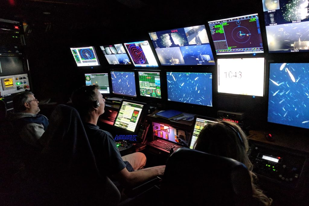 Two Monterey Bay Aquarium biologists (left and right) and an MBARI submersible pilot (center) sit in the dark control room of an MBARI research vessel. All three have their backs to the camera while watching a wall of video monitors displaying underwater video, scientific data, and telemetry.