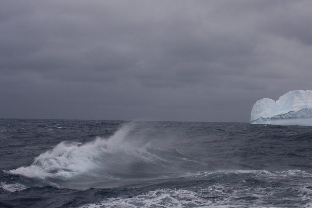 A large wave of grayish-blue seawater and white foam crests at the ocean’s surface. The background is grayish-blue ocean water, a large white iceberg, and an overcast gray sky.