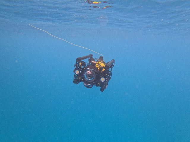 A robot moves through open water. The robot has a black metal frame around a yellow metal cylinder. The front of the robot has a clear glass dome, two white headlights, and four yellow propellers. The robot is facing the camera, with a thin yellow cable extending from the robot off frame to the left. The background is bright-blue water with ripples of the ocean’s surface and a reflection of the robot at the top of the frame.