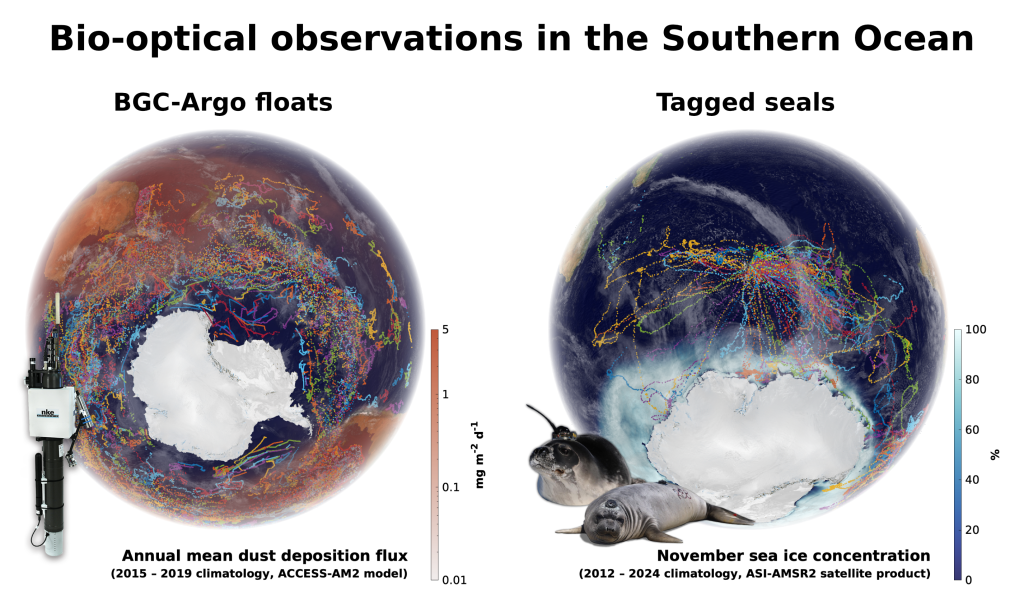 a graphic for Jakob Weis seminar showing biogeochemical observations in the Southern Ocean